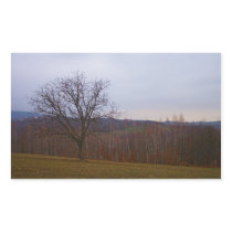 Autumn Tree Rectangle Stickers