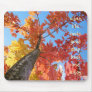 Autumn Tree When Life Looks Good Step Back Enjoy Mousepads