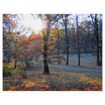 Autumn trees