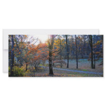 Autumn trees