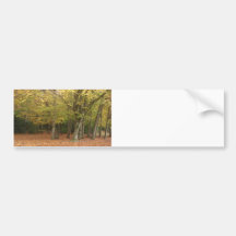 Autumn trees bumper sticker