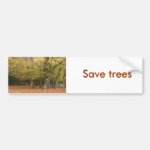 Autumn trees bumper sticker