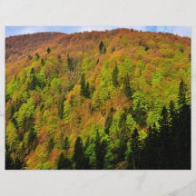 Autumn trees flyers
