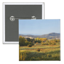 Autumn Trees, Khancoban, Snowy Mountains, New Button