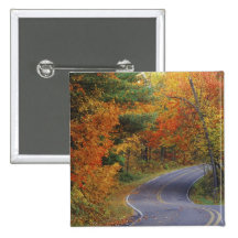 Autumn trees line roadway in Itasca State Park Buttons