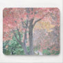 Autumn Trees