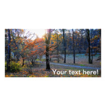 Autumn trees