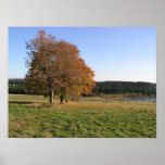 autumn trees print