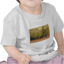 Autumn trees shirt