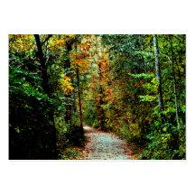 Autumn Walk Business Card Templates