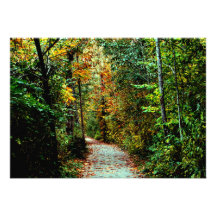 Autumn Walk Custom Announcements