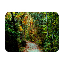 Autumn Walk Flexible Magnet