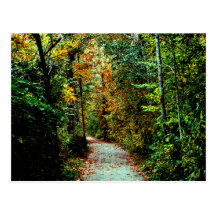 Autumn Walk Post Card