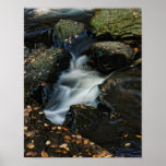 Autumn Waterfall Print