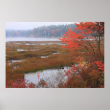 Autumn Wetland Quabbin Reservoir Print
