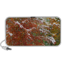 Autumn Winter.JPG Haut-parleur iPod