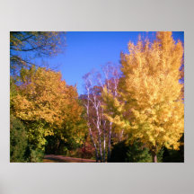 AUTUMN YELLOWS poster