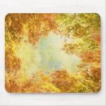 Autumnal leaves grungy