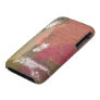 Autumnal Verse iPhone 3 Case-Mate Case