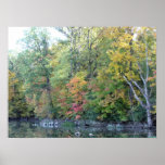 Autumn's colours poster