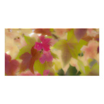 Autumn's Delicate Side Photo Card Template
