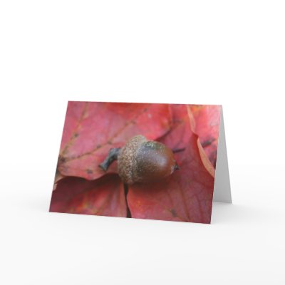 AUTUMNS PROMISE GREETING CARD by wendybandurskimiller