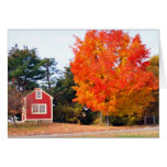 AUTUMNS SPLENDOR cards