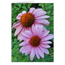 AV- Floral Art Get Well Card