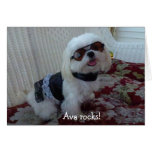Ava note cards