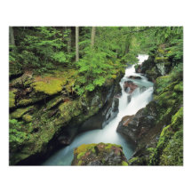 Avalanche Gorge in Glacier National Park in Photograph