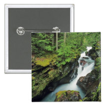 Avalanche Gorge in Glacier National Park in Pin