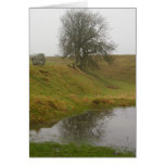 Avebury Tree Greeting Card