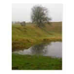 Avebury Tree Postcard