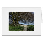 Avebury, Wiltshire, England. Tree and path. Greeting Card