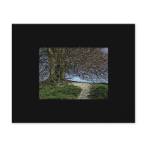Avebury, Wiltshire, England. Tree and path. Full Color Flyer