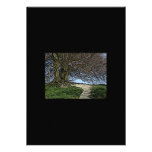 Avebury, Wiltshire, England. Tree and path. Personalized Invites