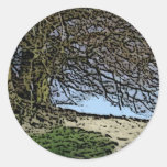 Avebury, Wiltshire, England. Tree and path. Stickers