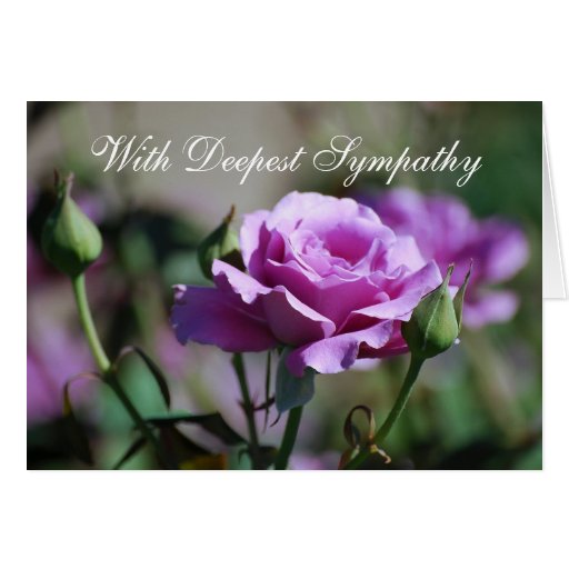 Avec la carte rose de sympathie la plus profonde d