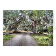 Avery Island Road Greeting Card