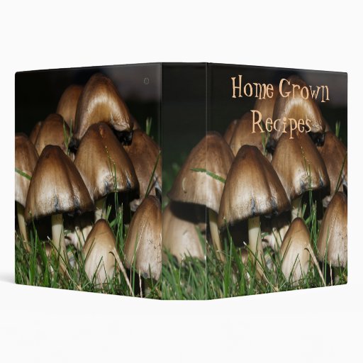 Avery Recipe Binder