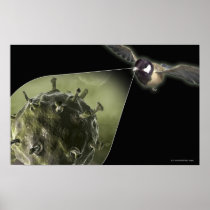 Avian flu coming out of bird poster