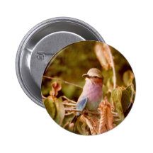 Aviary Pin