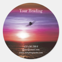 Aviation flying business marketing stickers