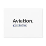Aviation...I Like This