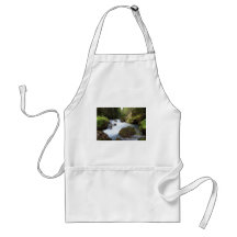 Avisio stream, Canazei Apron