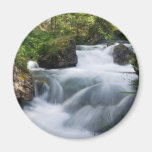 Avisio stream, Italy Refrigerator Magnet