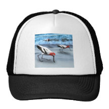 Avocet Hats
