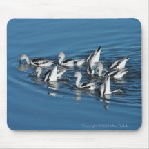 Avocet Mousepad