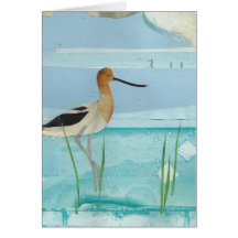 Avocette américaine carte de vœux