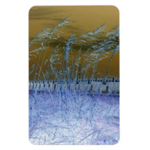 Avoine bleue de mer magnets en rectangle